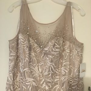 NWT Long formal Dress from David’s Bridal
